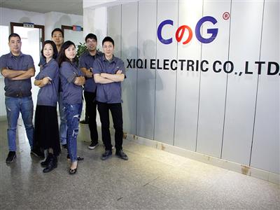 YueqingXiqi Electric Technology Co., Ltd. 